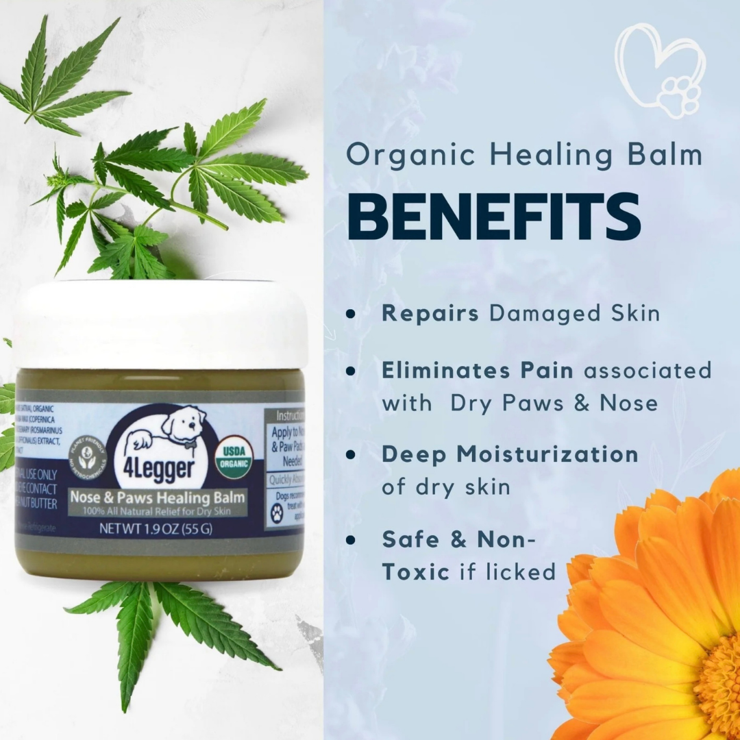 4-Legger Organic Healing Balm | Nose & Paw Pads