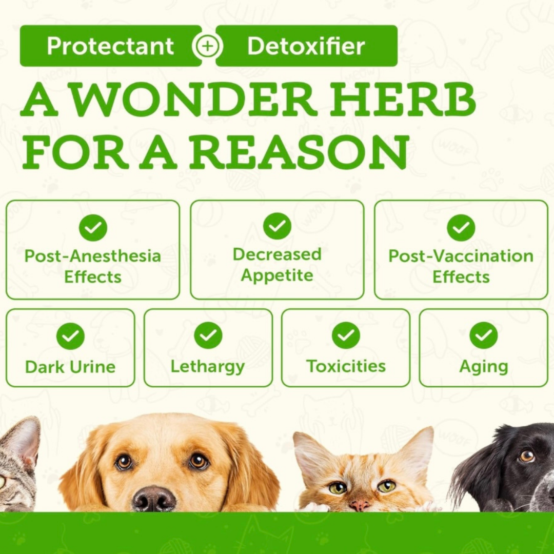 Animal Essentials Milk Thistle | Natural Liver Detox
