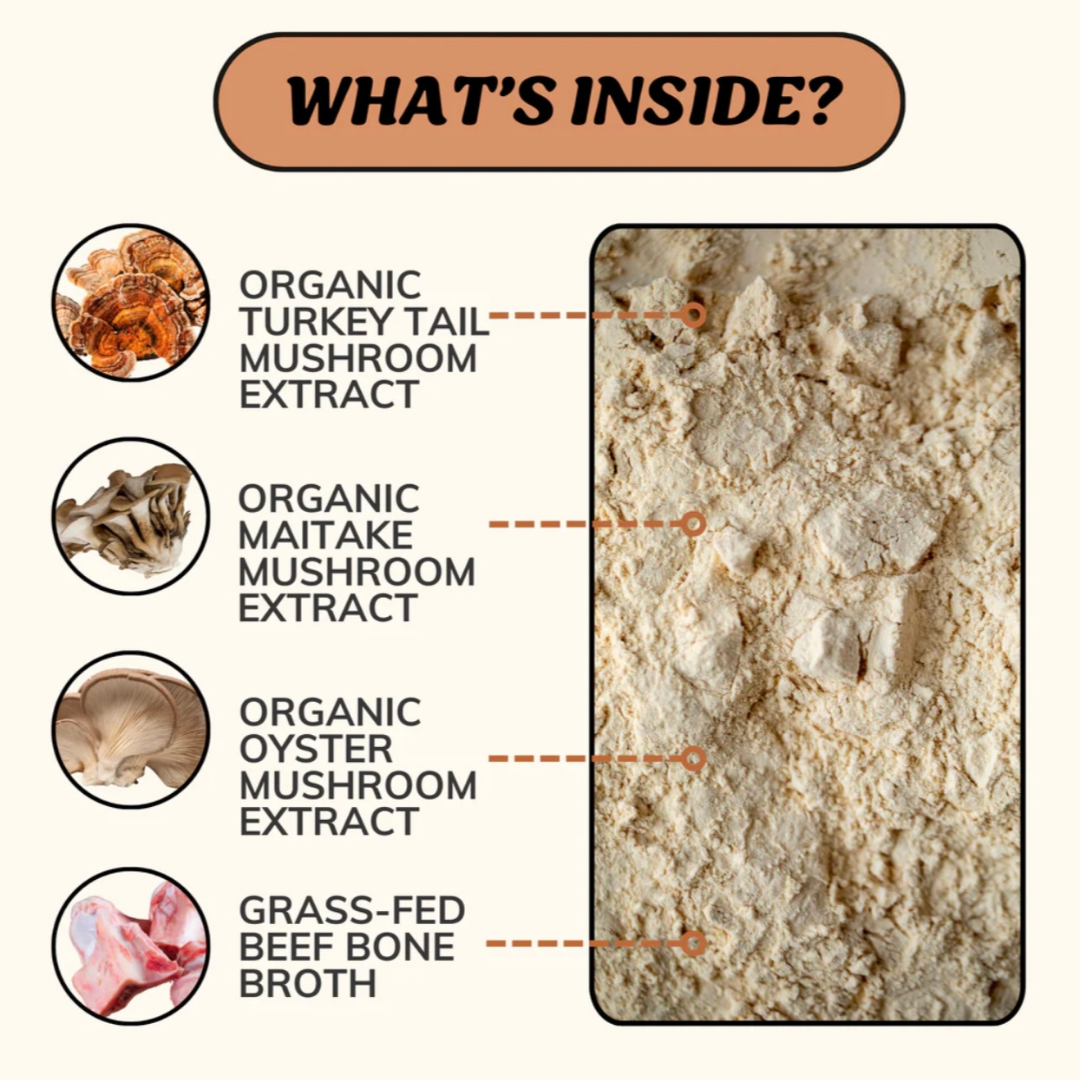 Fido’s Dehydrated Bone Broth Powder | Longevity
