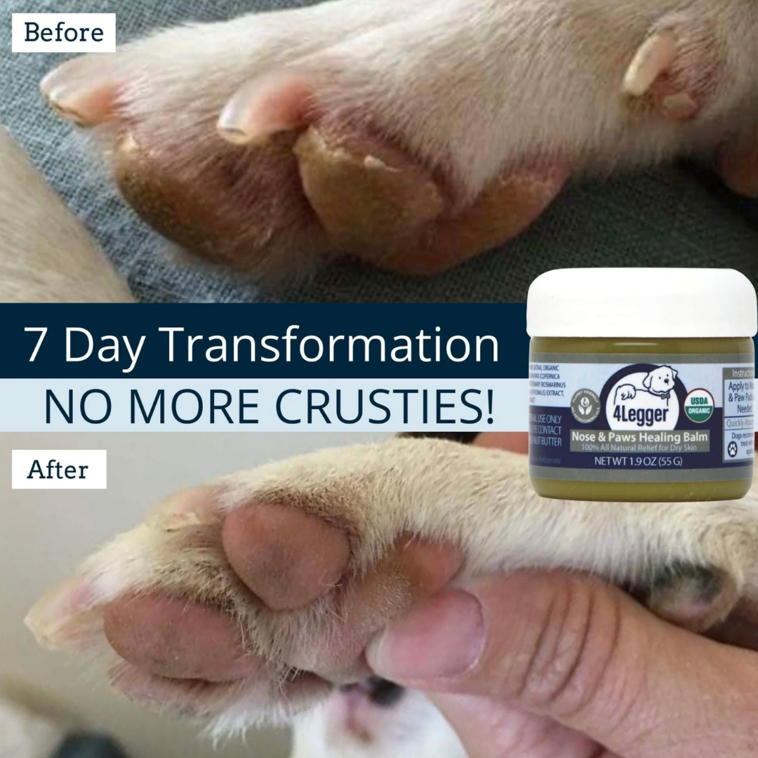 4-Legger Organic Healing Balm | Nose & Paw Pads