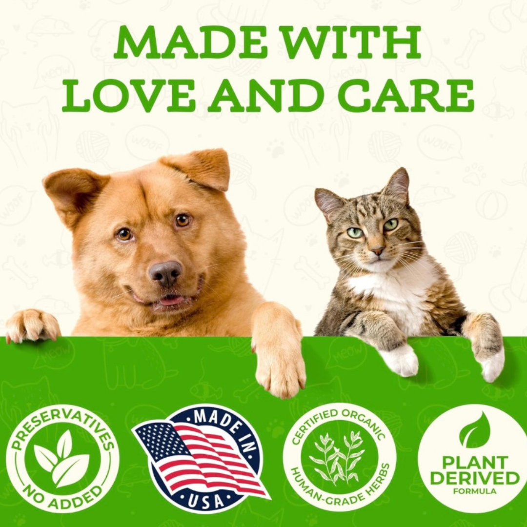 Animal Essentials Milk Thistle | Natural Liver Detox