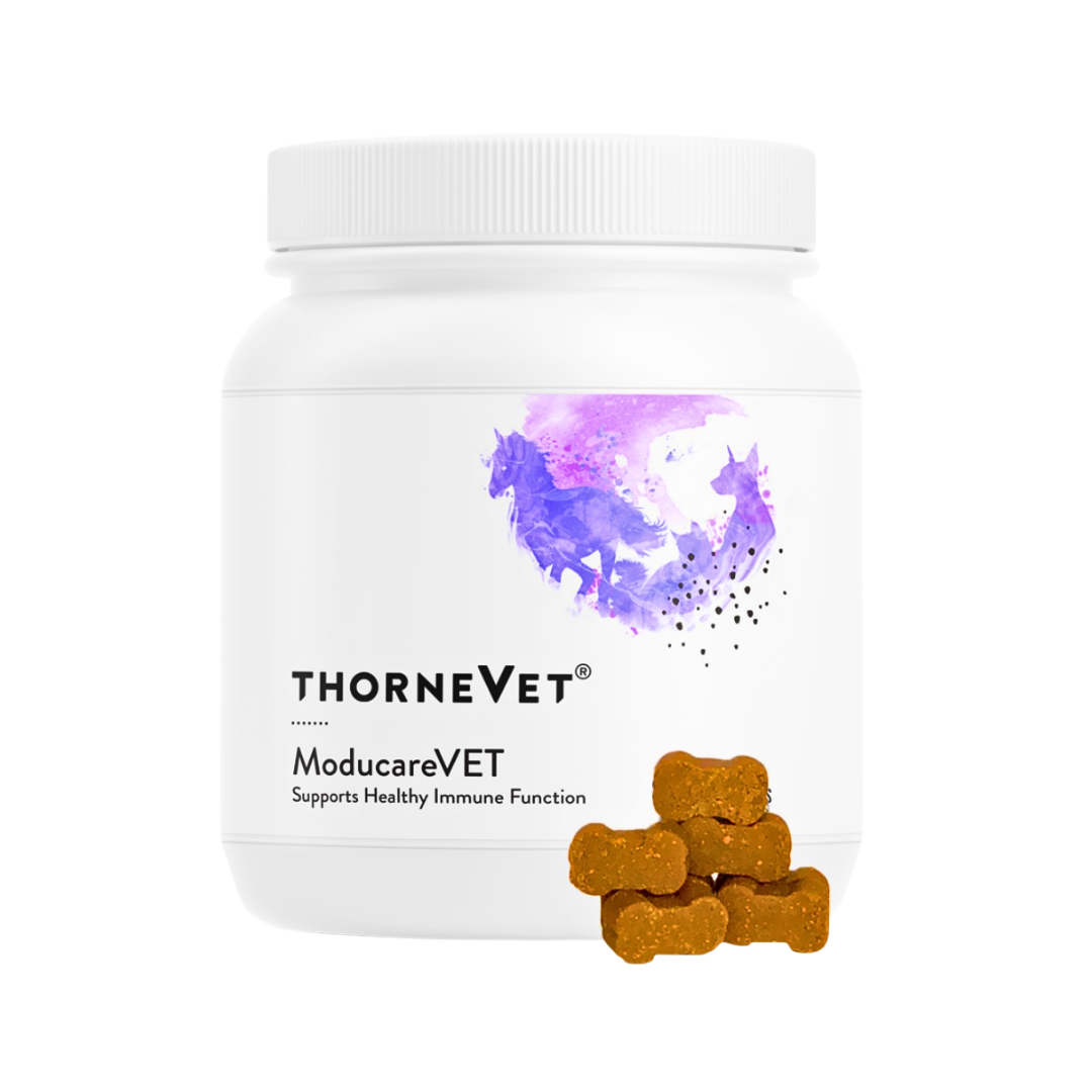 ThorneVet Moducare Chews | Immune + Allergy Support