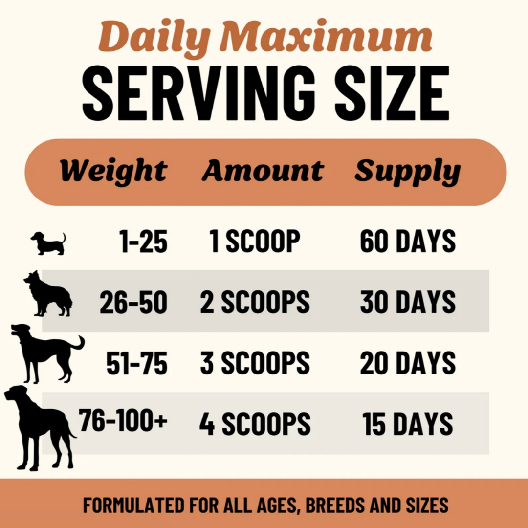Fido’s Dehydrated Bone Broth Powder | Longevity