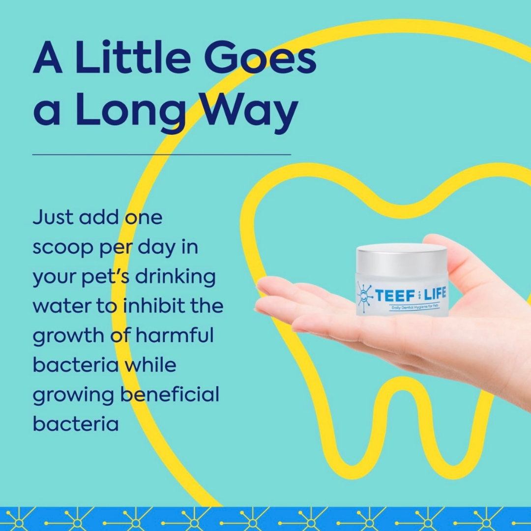TEEF for Life Protektin42 | Dental Powder Water Additive