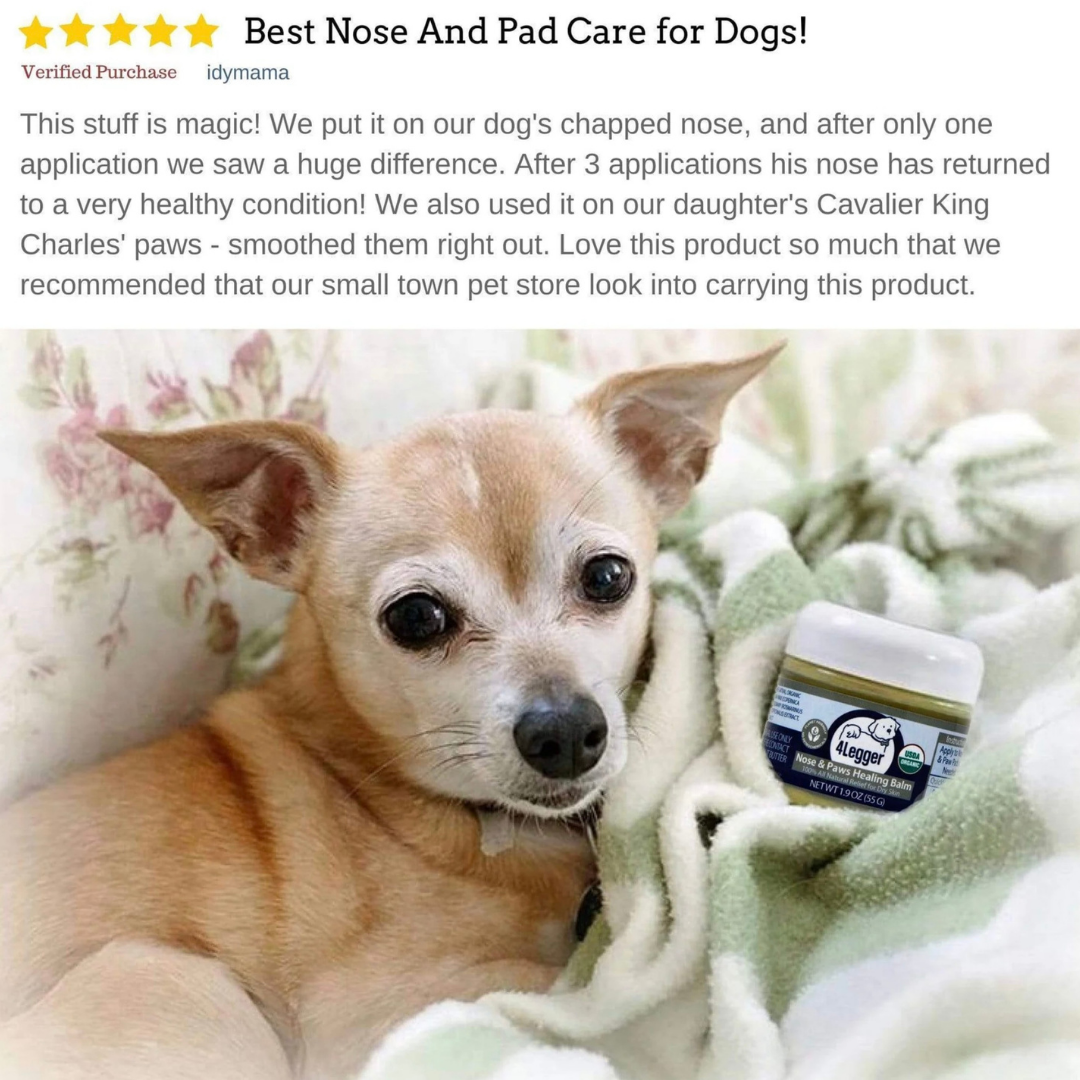 4-Legger Organic Healing Balm | Nose & Paw Pads