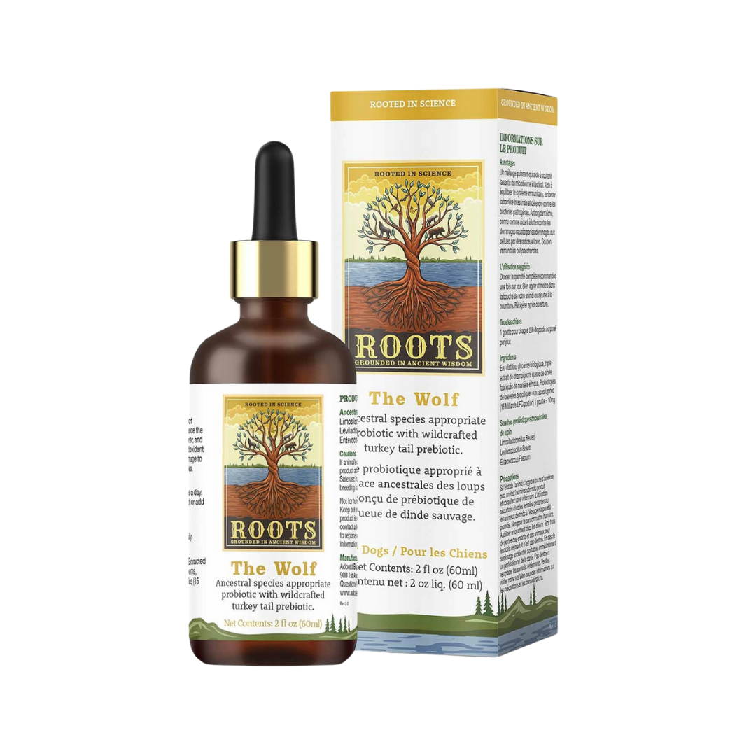 LOV × grindlodge ボトル Adored Beast The Wolf | Ancestral Gut Health + Immune Support