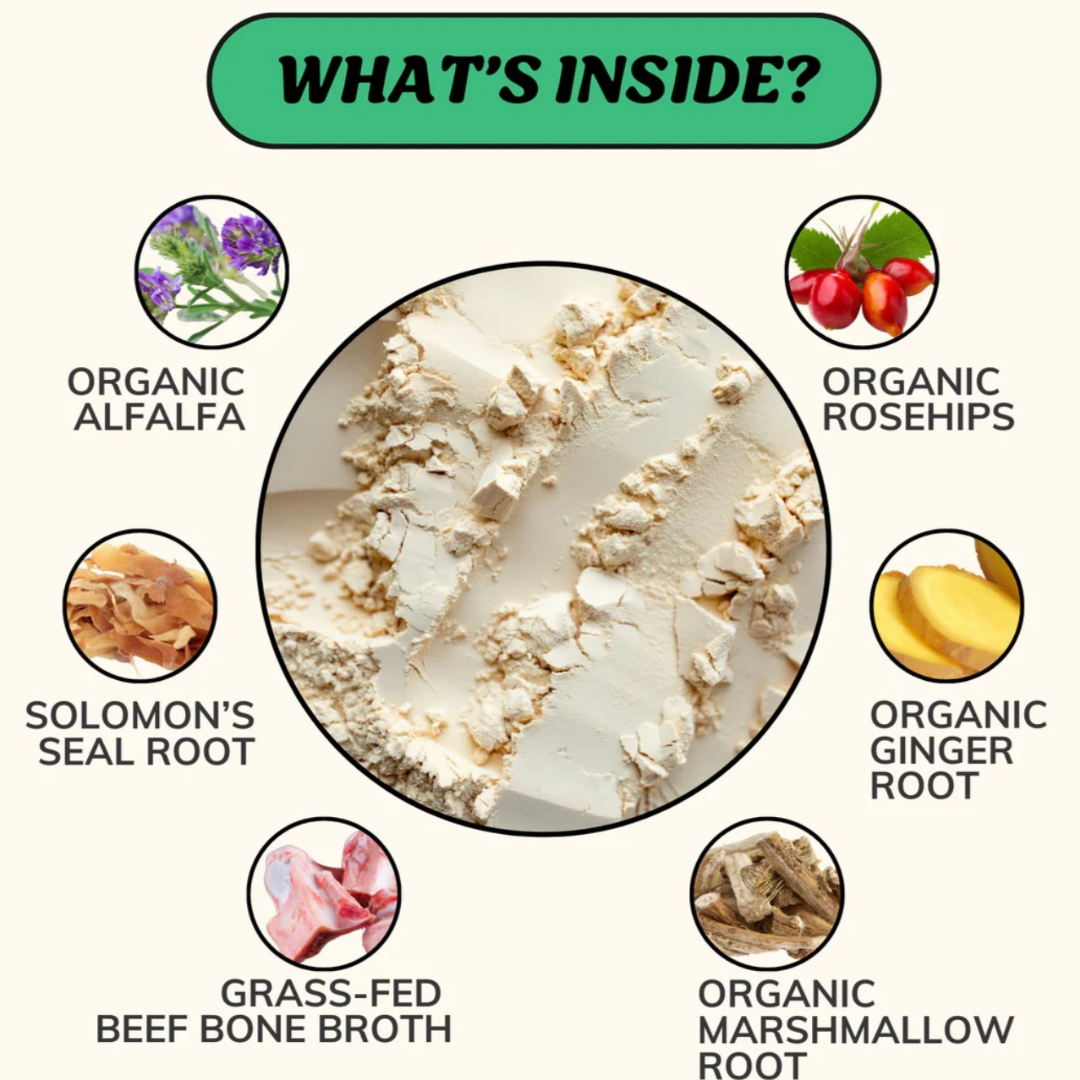 Fido’s Dehydrated Bone Broth Powder | Mobility