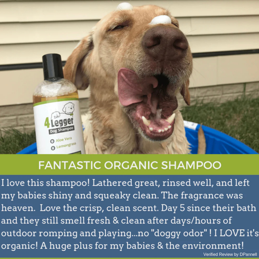 4-Legger Organic Shampoo | Lemongrass + Aloe