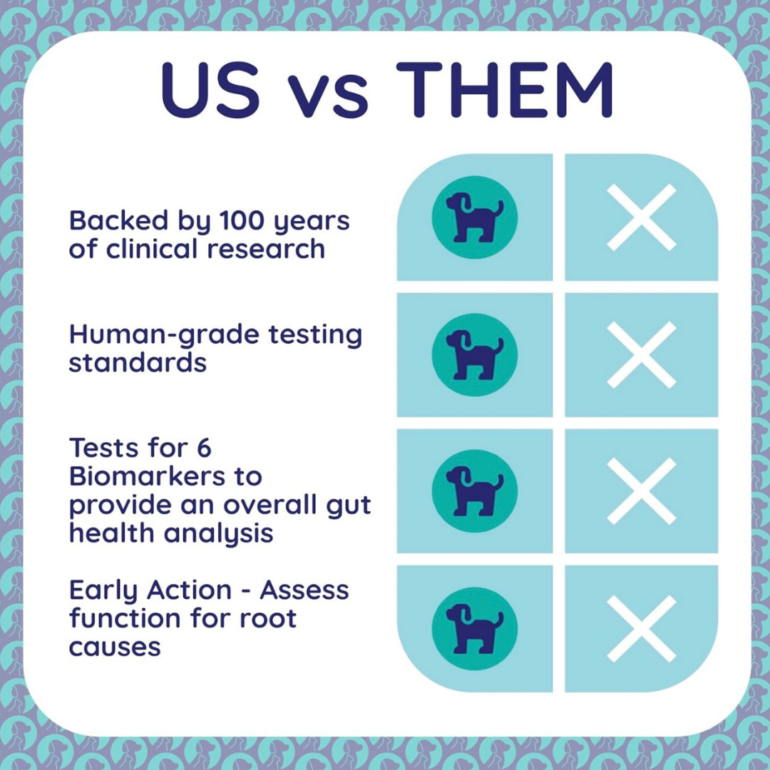 Innovative Pet Lab Comprehensive Review Test | At-Home Dog Health Testing