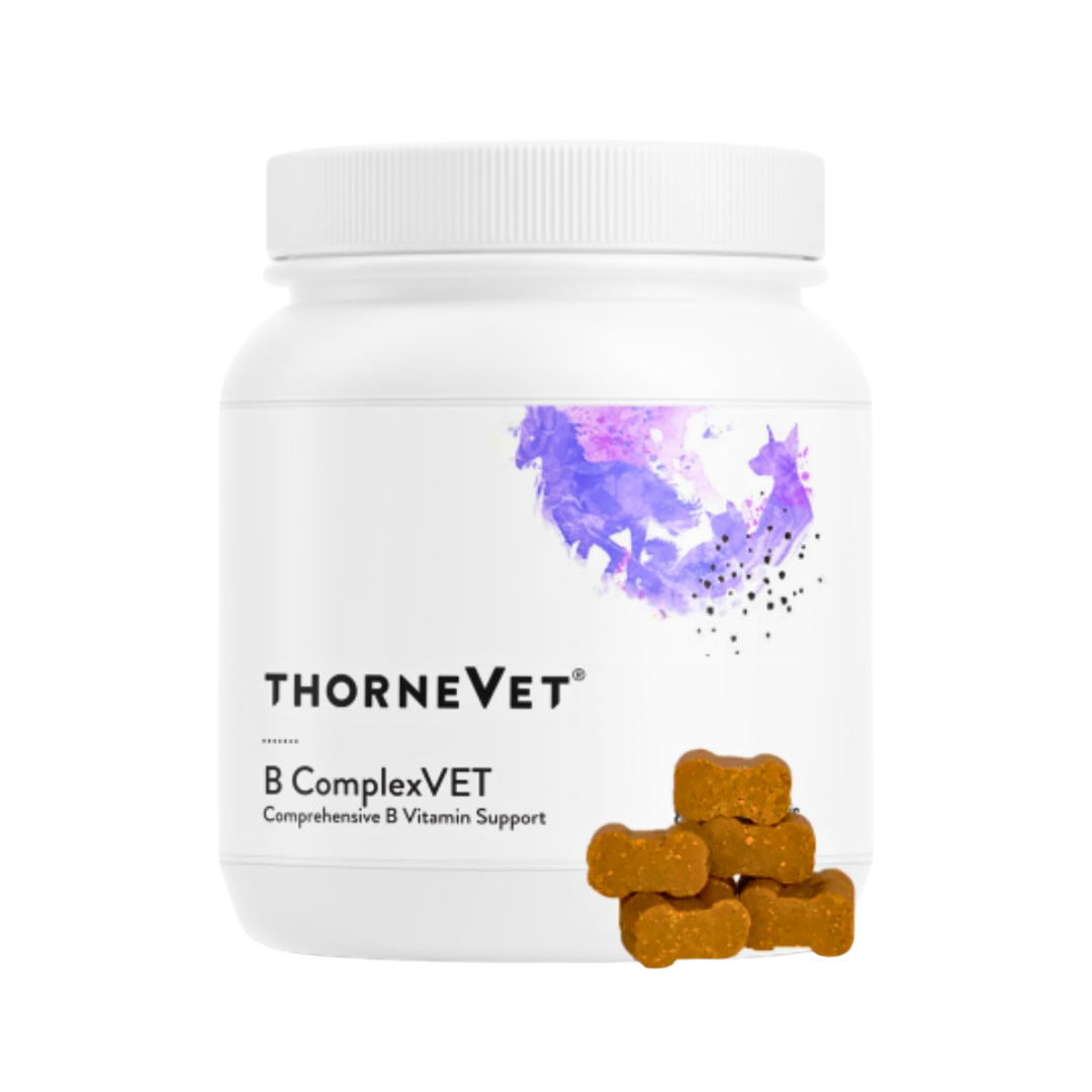 ThorneVet B-Complex Chews | Bioavailable B Vitamin Support