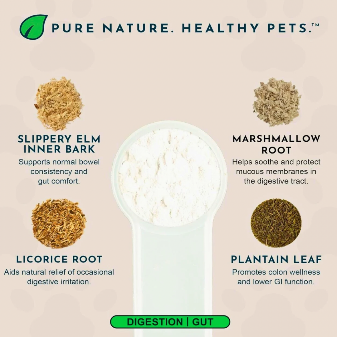 Animal Essentials Colon Rescue Powder | Soothing Digestive Support