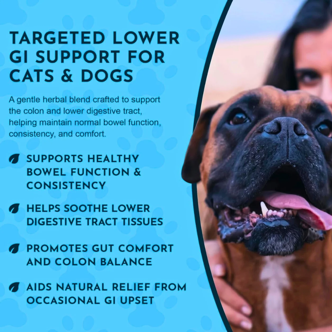 Animal Essentials Colon Rescue Powder | Soothing Digestive Support