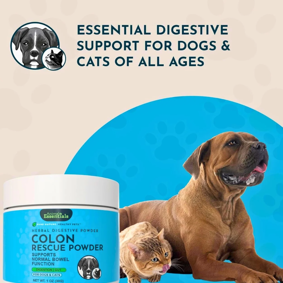 Animal Essentials Colon Rescue Powder | Soothing Digestive Support