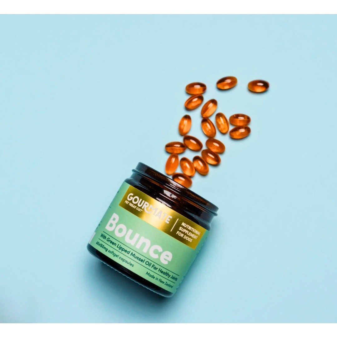 Gourmate Bounce | Green Lipped Mussel Oil