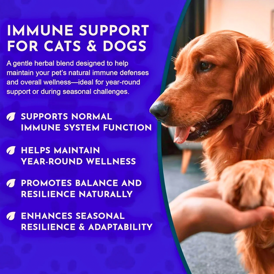Animal Essentials Super Immune | Comprehensive Immune + Wellness Boost