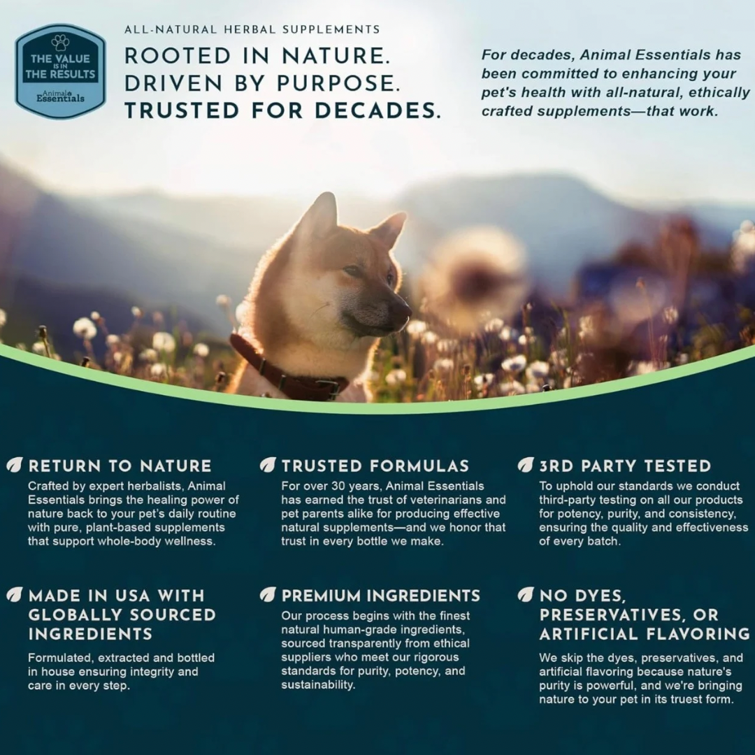 Animal Essentials Super Immune | Comprehensive Immune + Wellness Boost