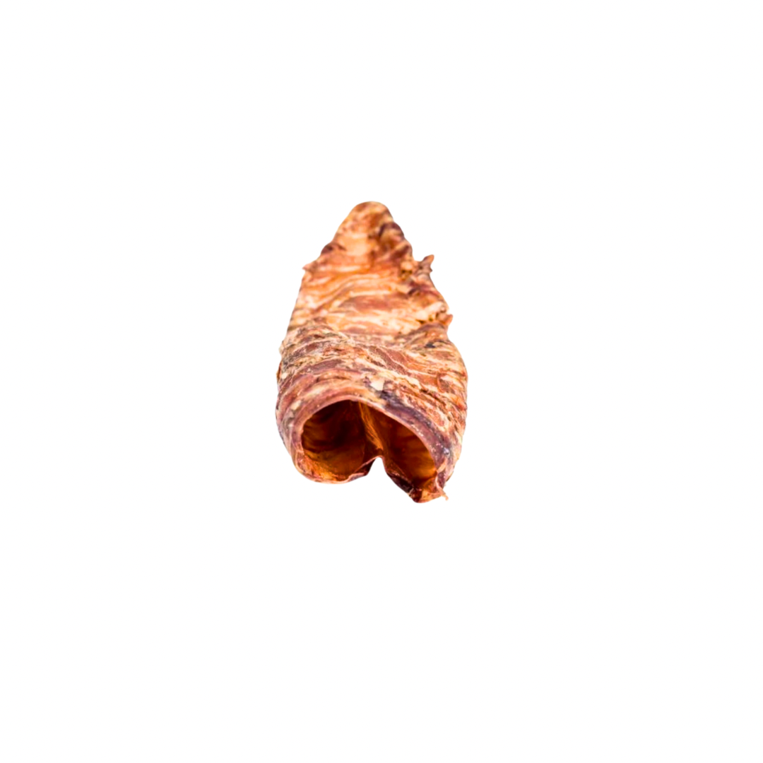 Winnie Lou Bison Trachea Chew