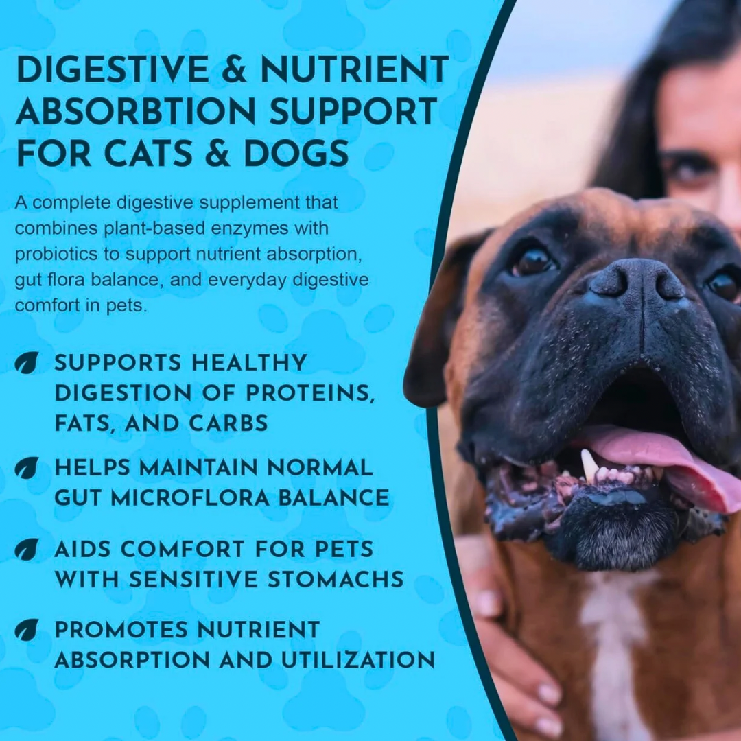 Animal Essentials Plant Digestive Enzymes + Probiotics