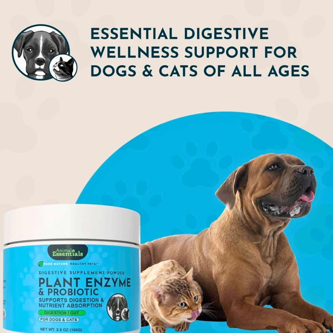 Animal Essentials Plant Digestive Enzymes + Probiotics