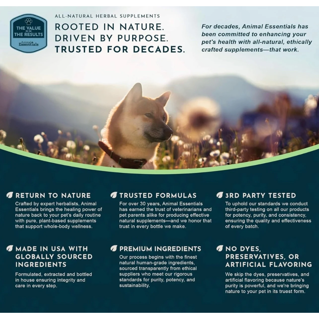 Animal Essentials Plant Digestive Enzymes + Probiotics