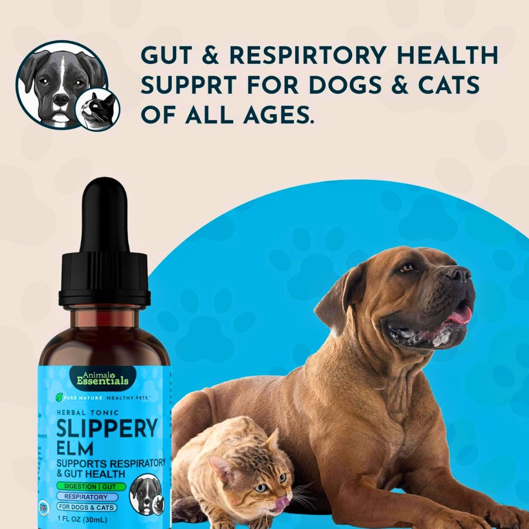 Animal Essentials Slippery Elm | Natural Digestive Soother