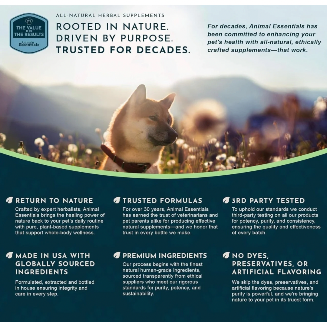 Animal Essentials Slippery Elm | Natural Digestive Soother