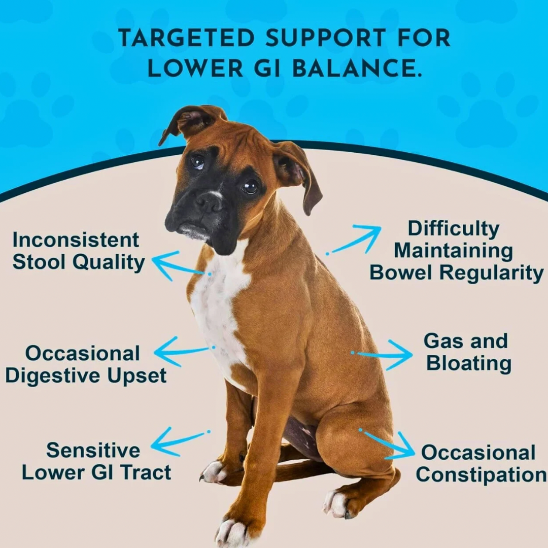 Animal Essentials Colon Rescue | Soothing Digestive Support
