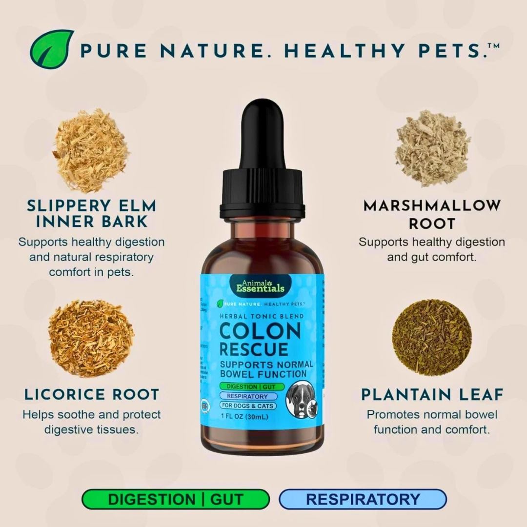 Animal Essentials Colon Rescue | Soothing Digestive Support