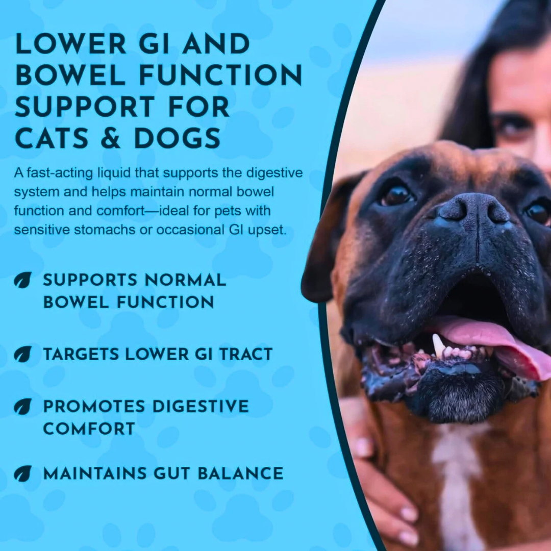 Animal Essentials Colon Rescue | Soothing Digestive Support