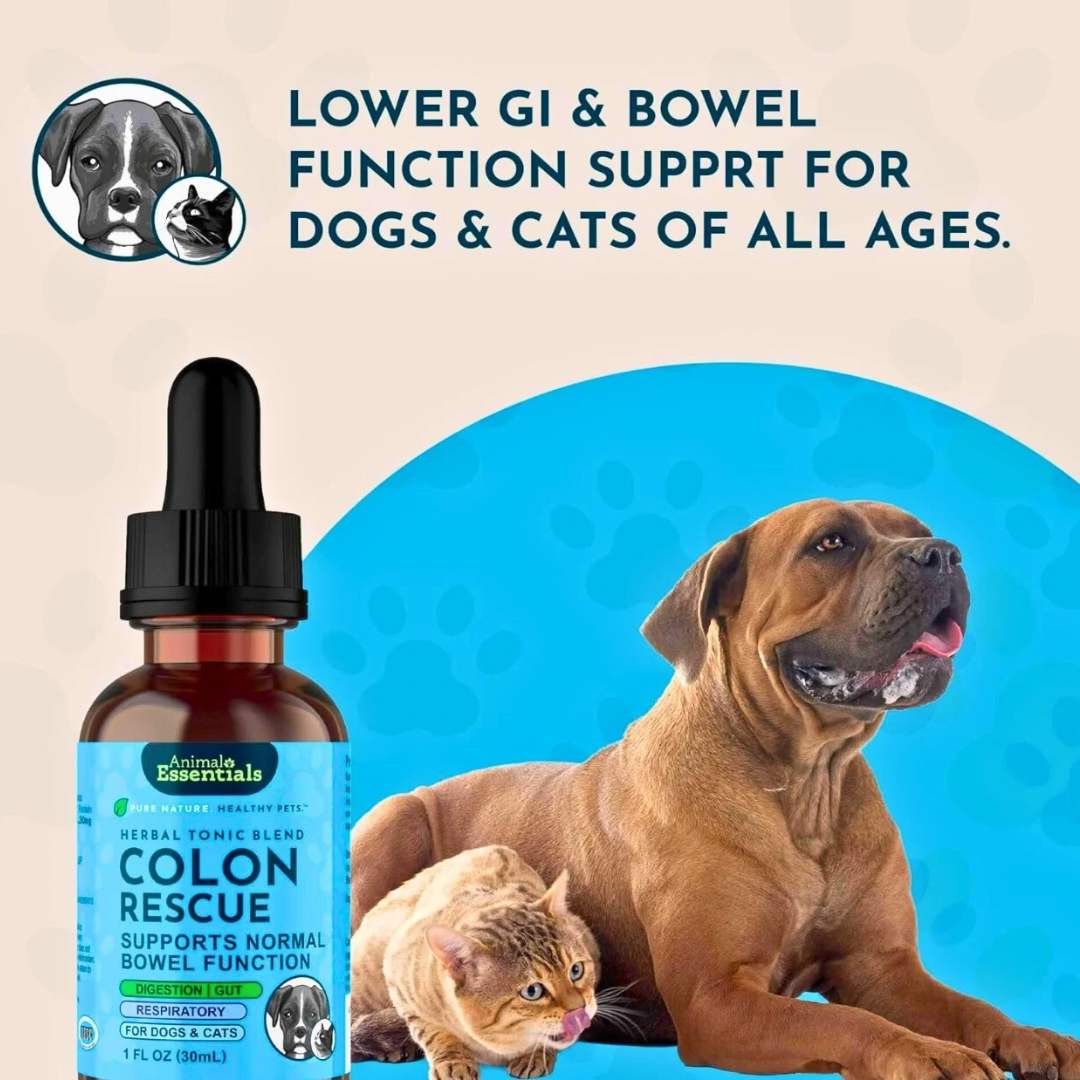 Animal Essentials Colon Rescue | Soothing Digestive Support