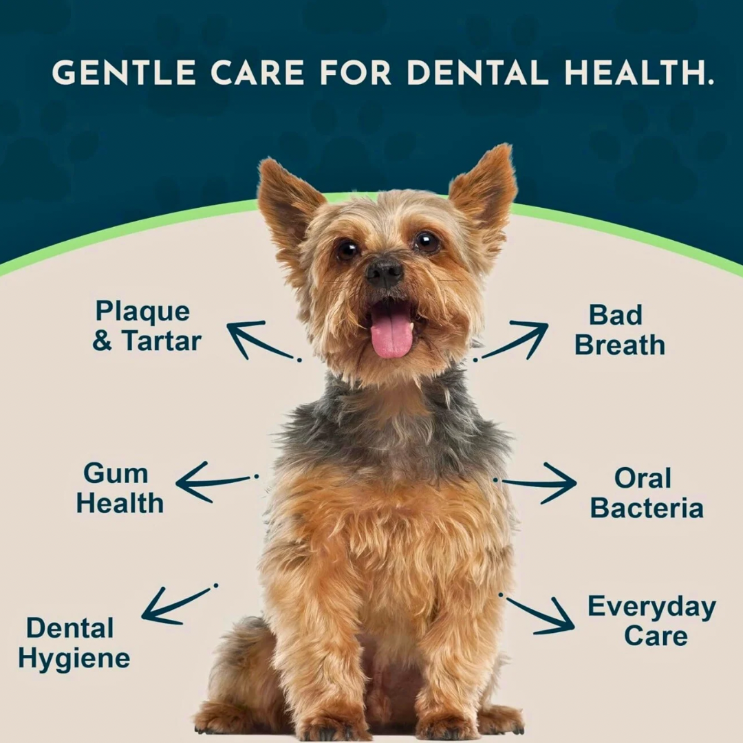 Animal Essentials SeaDent | Plaque + Tartar Control