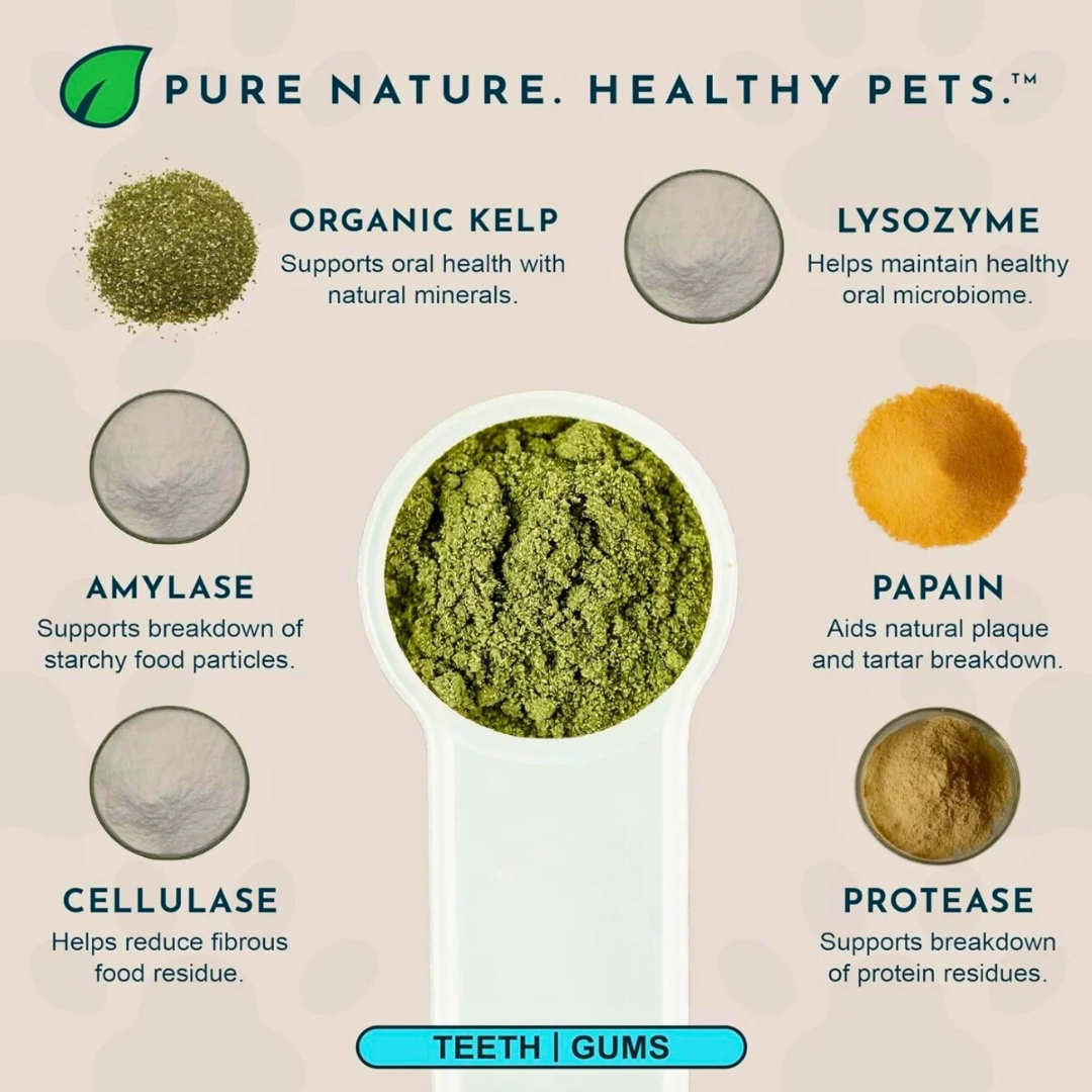 Animal Essentials SeaDent | Plaque + Tartar Control