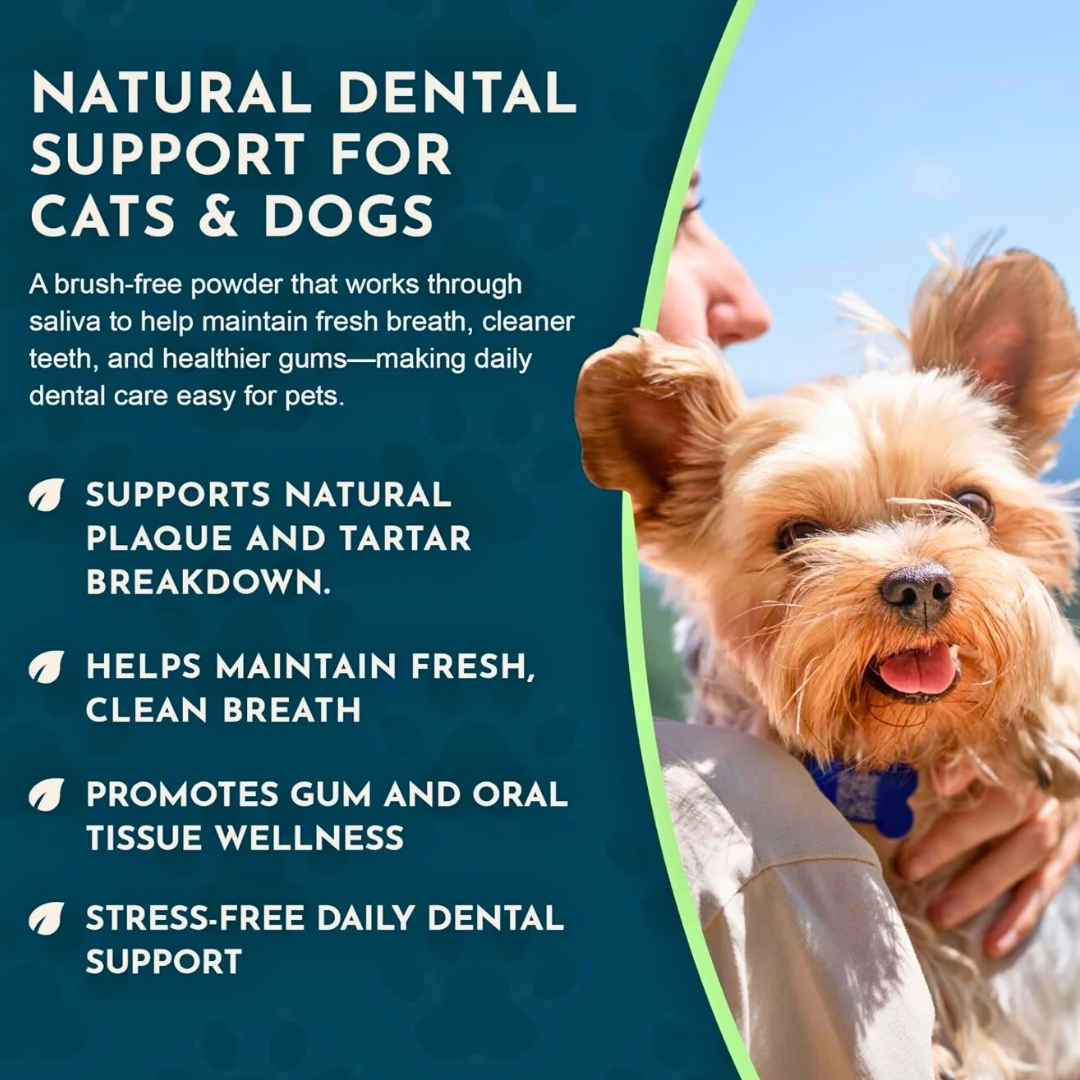 Animal Essentials SeaDent | Plaque + Tartar Control