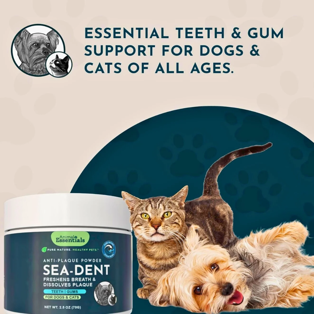 Animal Essentials SeaDent | Plaque + Tartar Control
