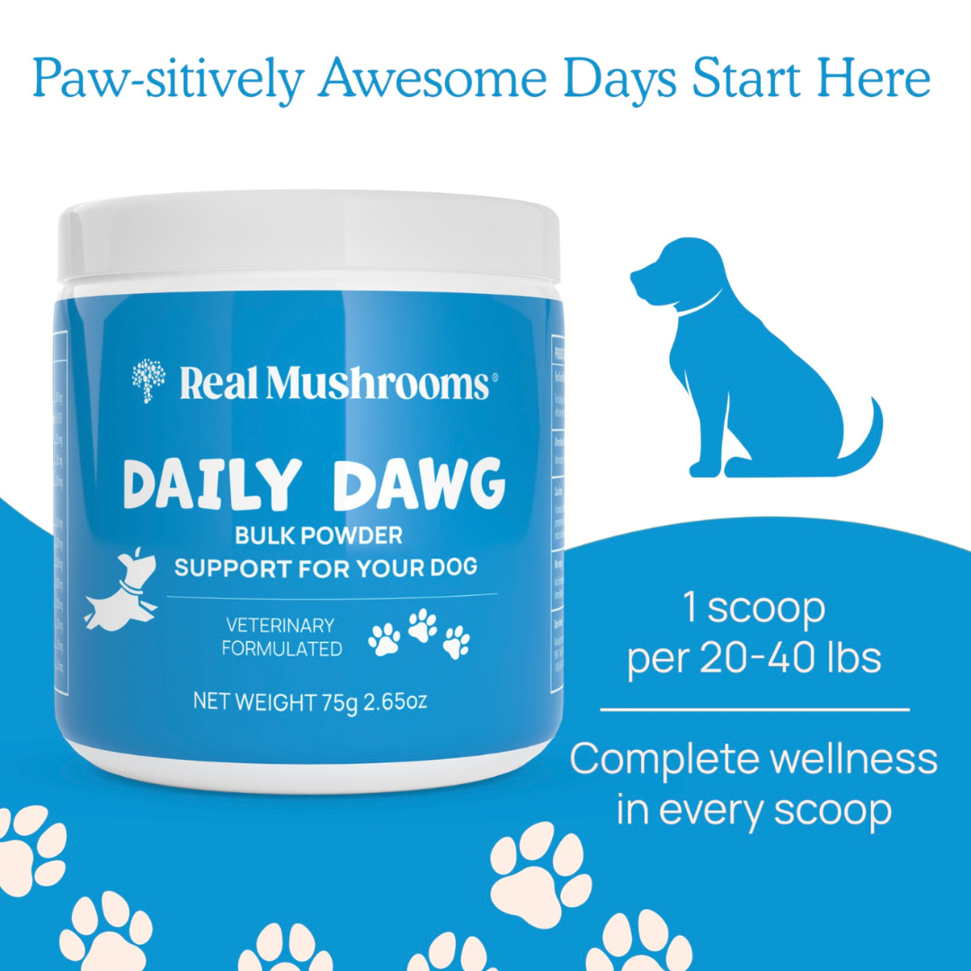 Real Mushrooms Daily Dawg | Daily Immune + Health Support