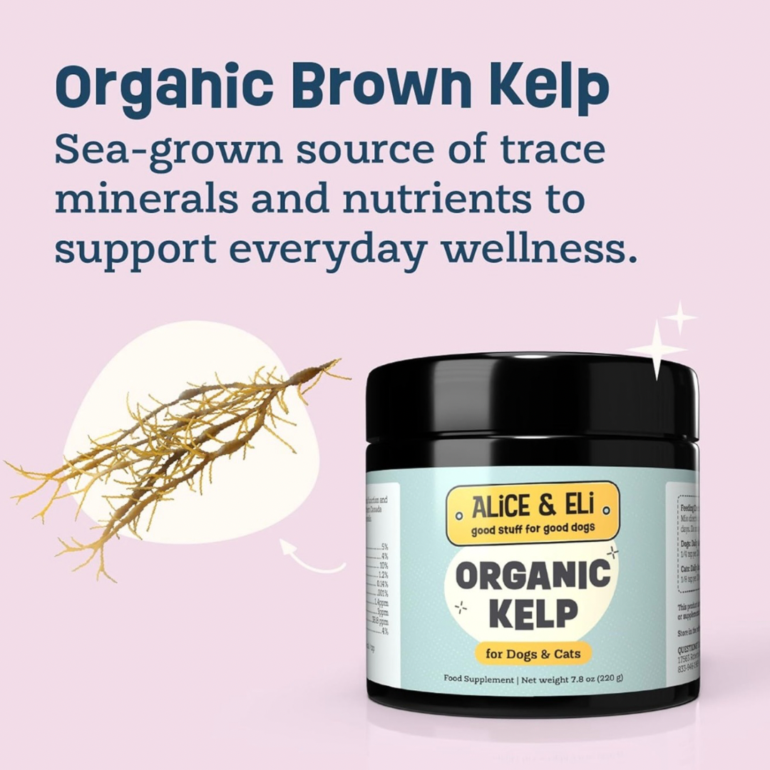 Alice & Eli Organic Kelp | Natural Iodine + Mineral Support