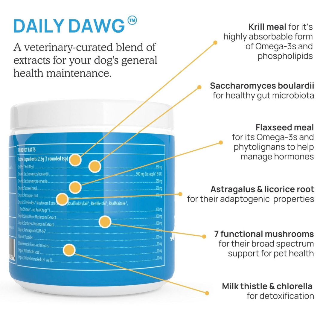 Real Mushrooms Daily Dawg | Daily Immune + Health Support