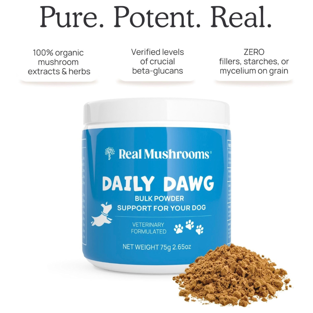 Real Mushrooms Daily Dawg | Daily Immune + Health Support