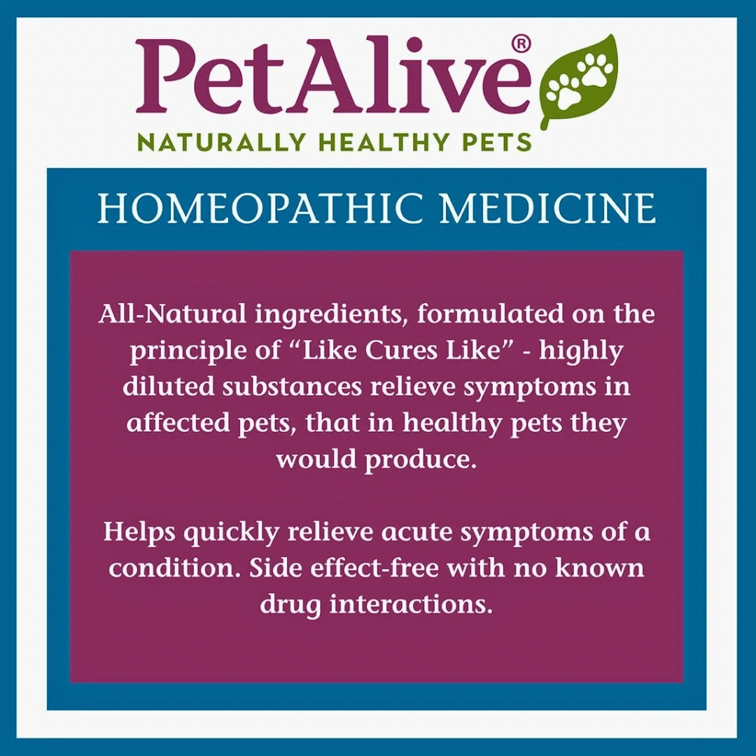 Pet Alive Aggression Formula | Homeopathic Emotional + Behavioral Support