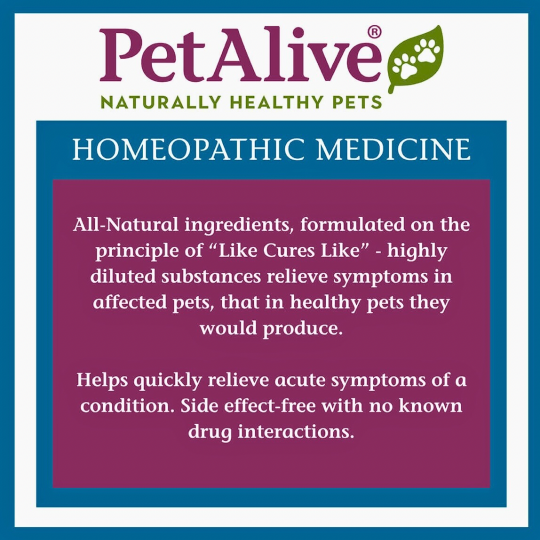 Pet Alive Allergy Itch Ease | Homeopathic Itch + Allergy Support