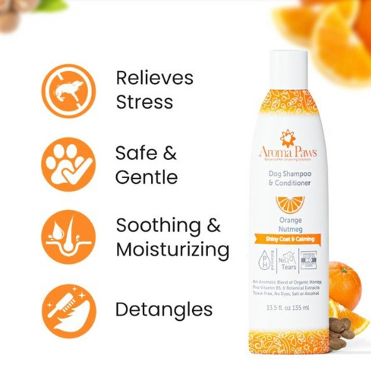 Orange Nutmeg Shampoo | Shiny Coat + Calming
