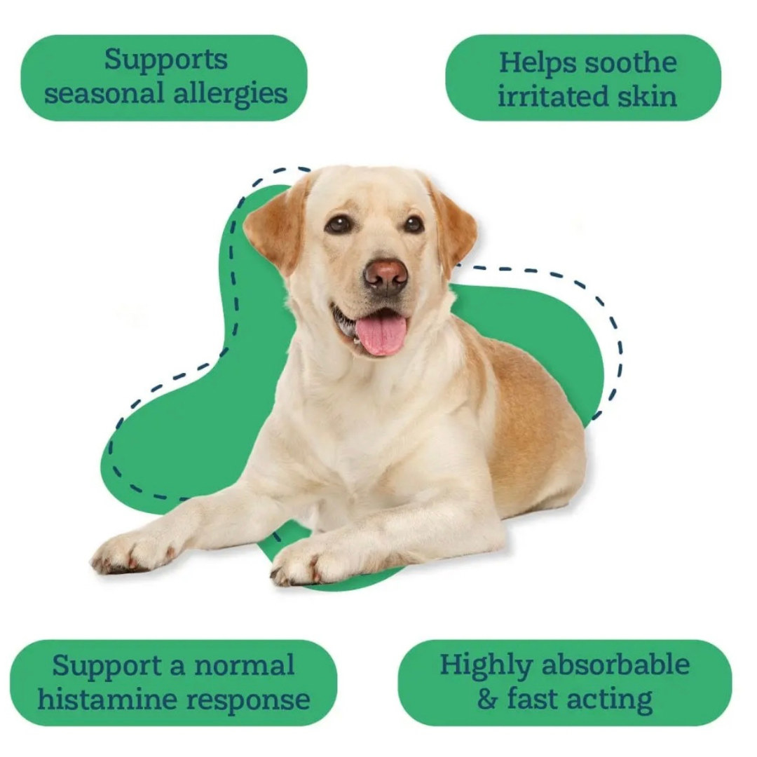 Alice & Eli Histamine Help | Natural Allergy + Histamine Support