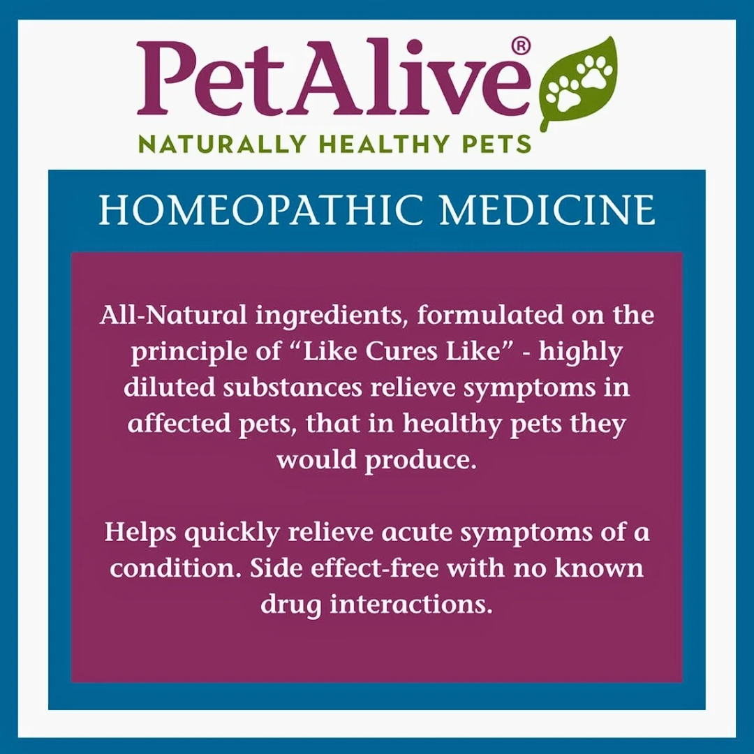 Pet Alive EaseSure | Homeopathic Calming + Nervous System Support
