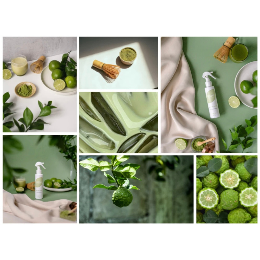 Grow Natural Air Freshener | Green Tea Matcha
