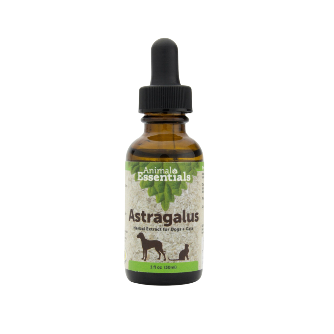 Animal Essentials Astragalus | Immune + Kidney Support