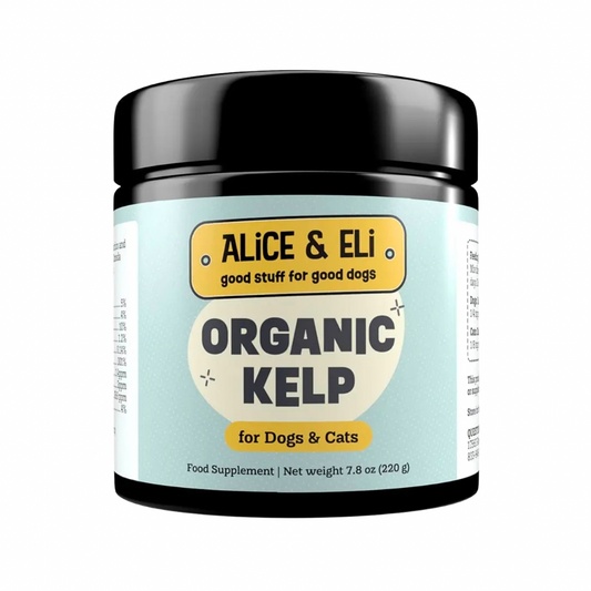 Organic Kelp | Natural Iodine, Thyroid & Coat Support