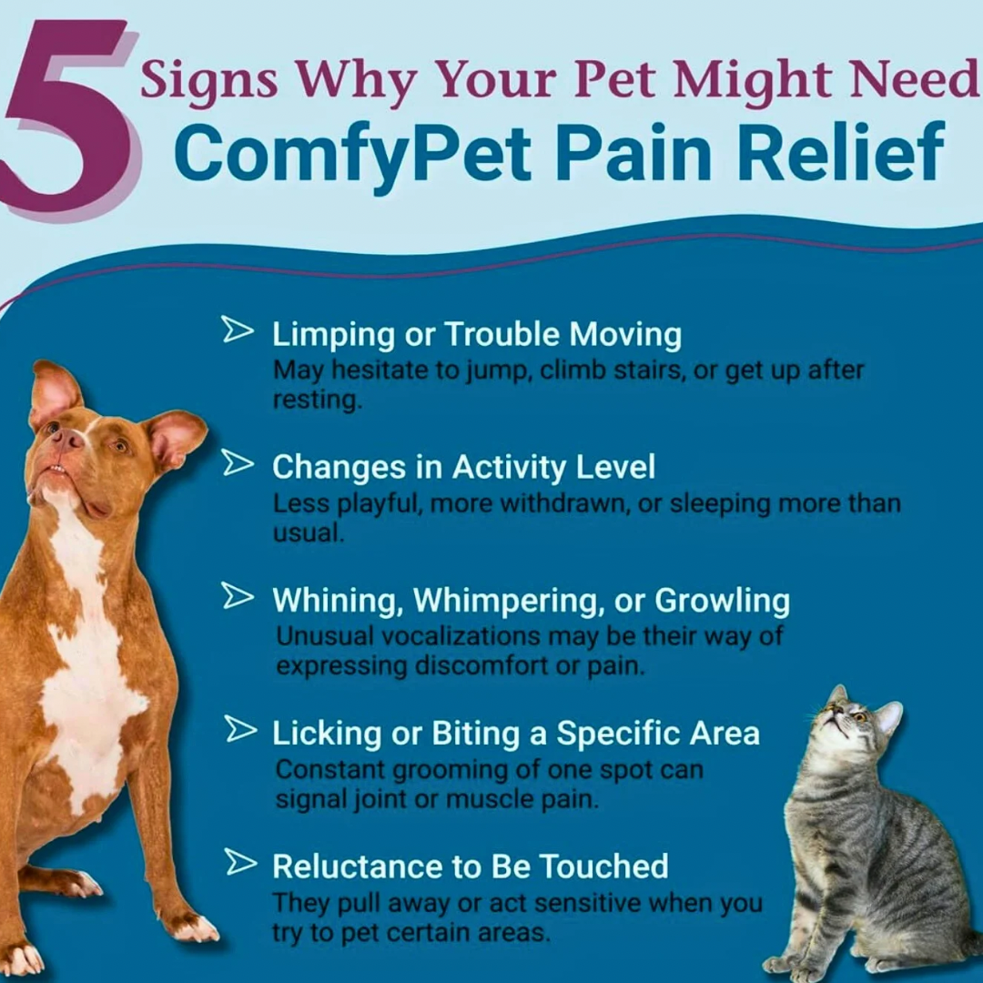 Pet Alive ComfyPet | Homeopathic Pain Relief