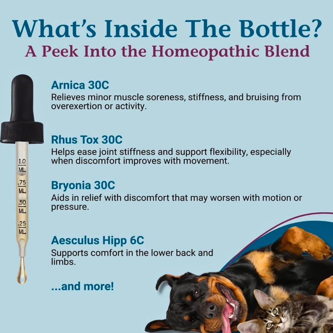 Pet Alive ComfyPet | Homeopathic Pain Relief