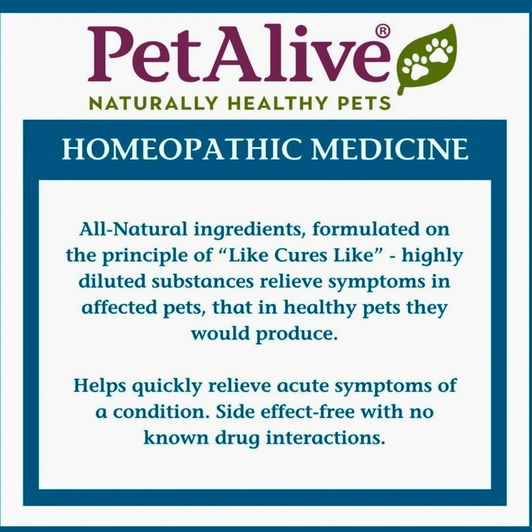 Pet Alive ComfyPet | Homeopathic Pain Relief