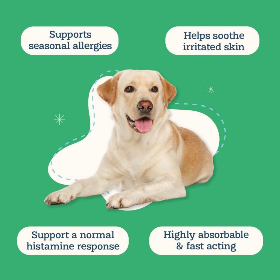 Alice & Eli Histamine Help | Natural Allergy + Histamine Support
